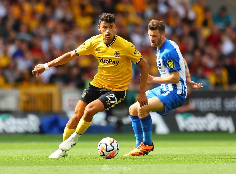 大力神杯自 大力神杯自